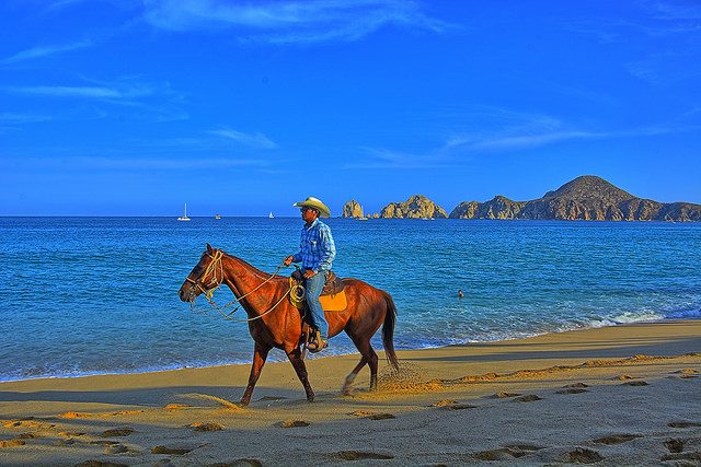 cabo horseback riding baja scuba