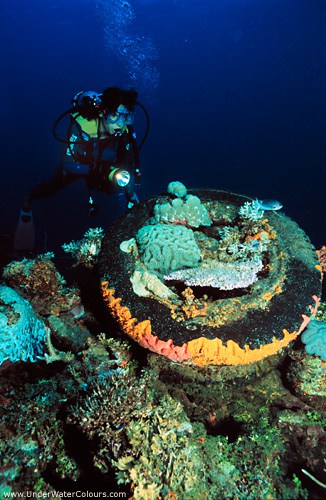 Diver on the Sankisan Maru