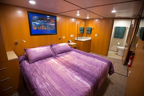 odyssey stateroom luxury liveaboard truk