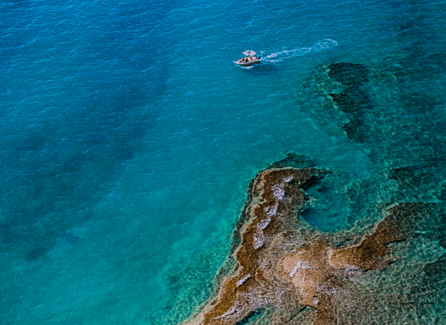 environment-conscious scuba diving