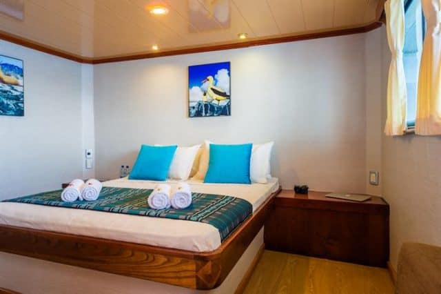 cabin on seaman journey small cruise ship galapagos