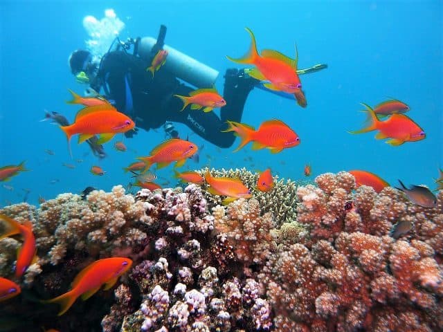 sustainable scuba diving environment friendly