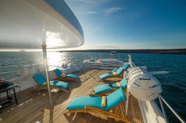 majestic explorer diving cruise liveaboard galapagos 