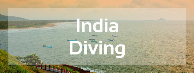 india diving destination review