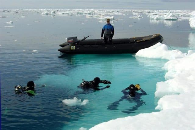 plancius small ship cruise diving arctic polar region