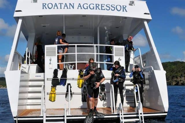 roatan aggressor liveaboard diving cruise honduras