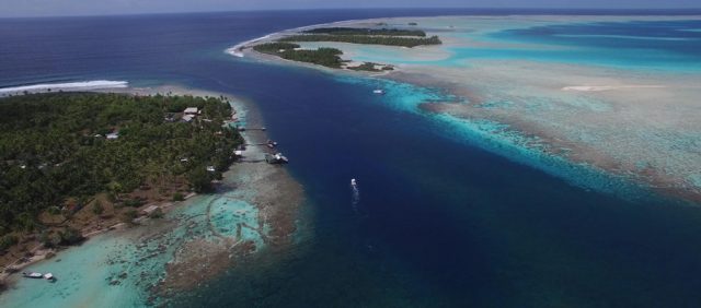 scuba dive budget liveaboard french polynesia aquatiki