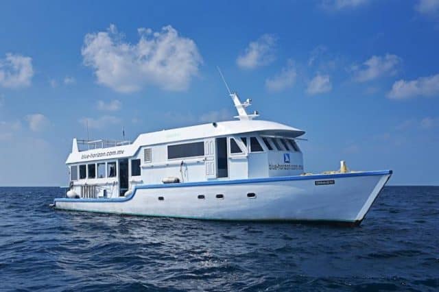 horizon 3 maldives liveaboard diving cruise