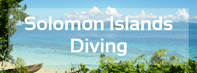 solomon islands diving destination