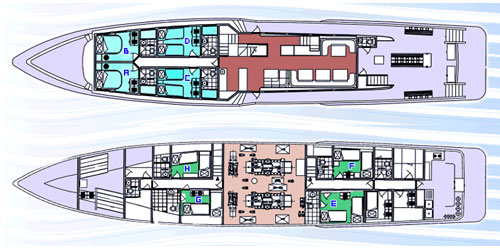 spirit of niugini liveaboard diving papua new guinea