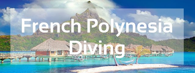 french polynesia diving