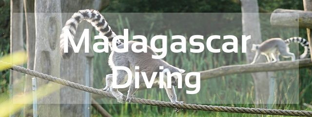 madagascar scuba diving destination