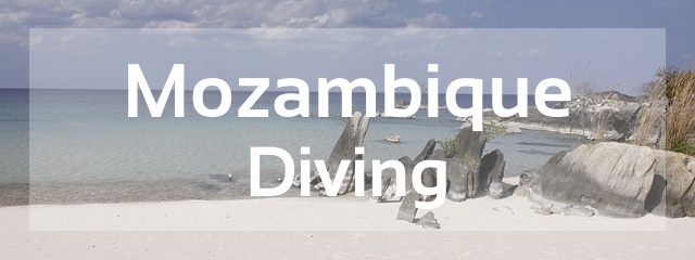 mozambique scuba diving destination