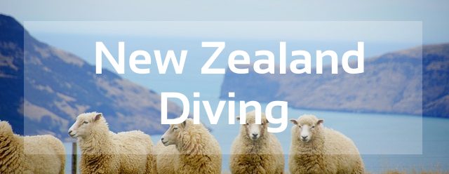 diving new zealand