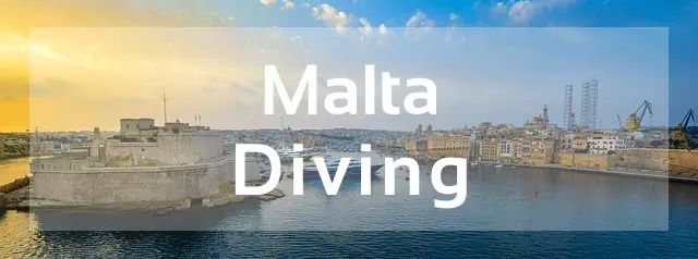 malta diving review