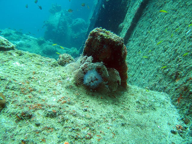 Aruba wreck diving photo by Istvan Szucs