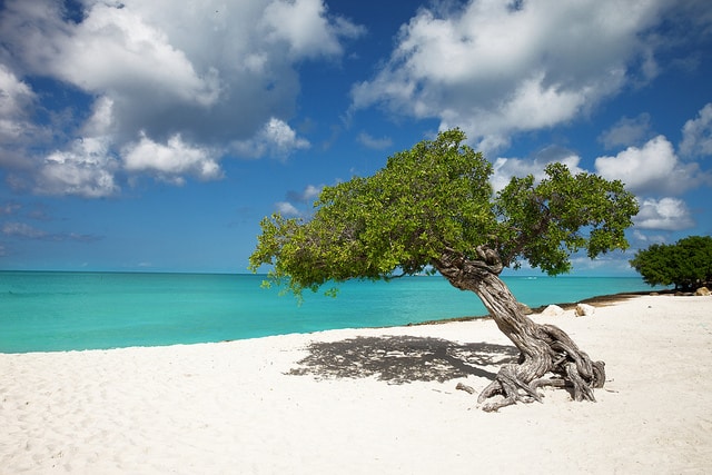 Aruba's Eagle Beach photo by Chris Ford