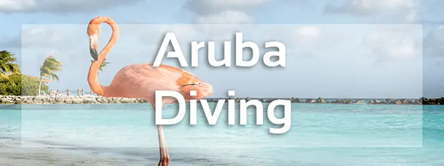 aruba diving review
