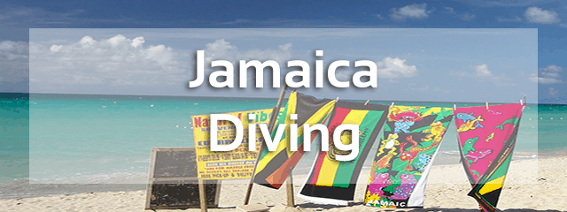 jamaica diving review