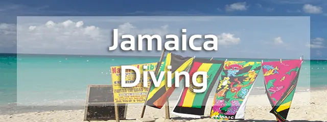 jamaica diving review