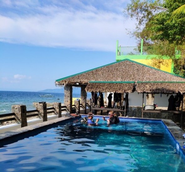 Blue Ribbon Anilao Dive Resort Review Anilao Batangas