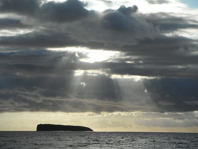 diving hawaii molokini maui