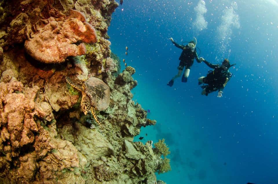 bucket list diver australia scuba diving ningaloo reef