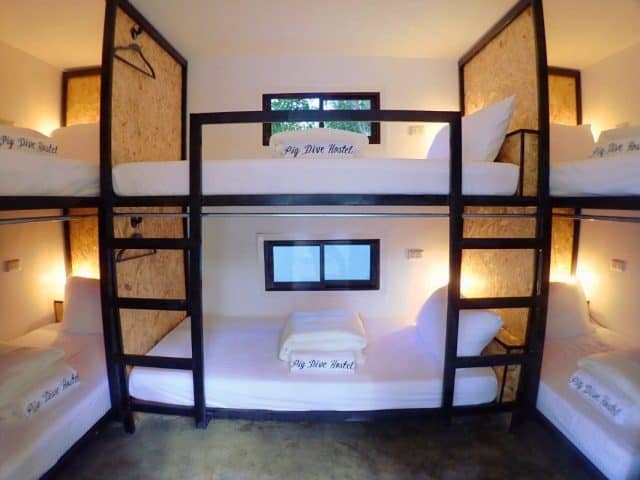 pig dive hostel philippines moalboal