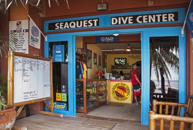 seaquest oasis dive resort bohol philippines