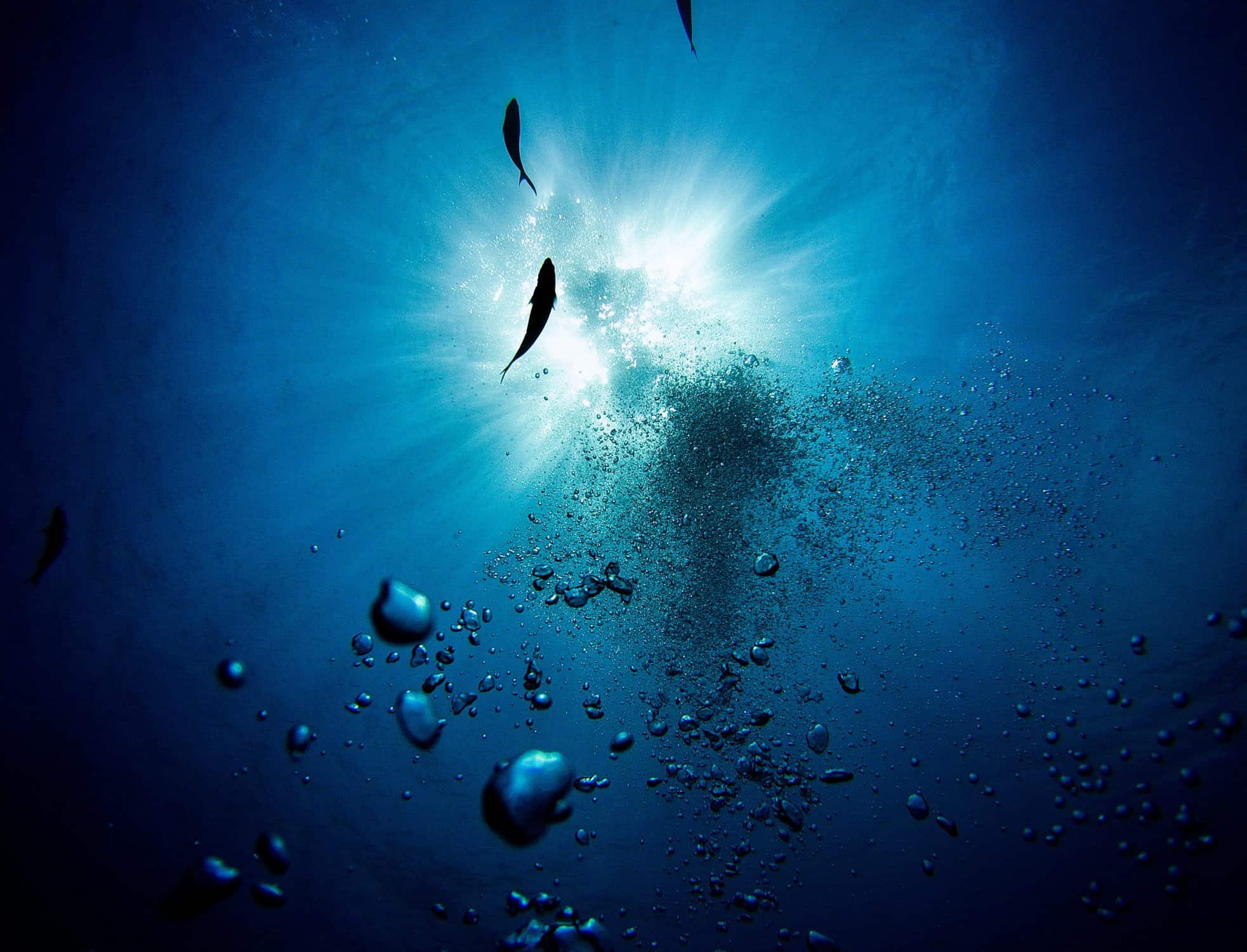 Free Underwater HD Wallpapers – Scuba Diving Reviews & Blog