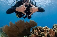 diving discover scuba cozumel salty endeavors