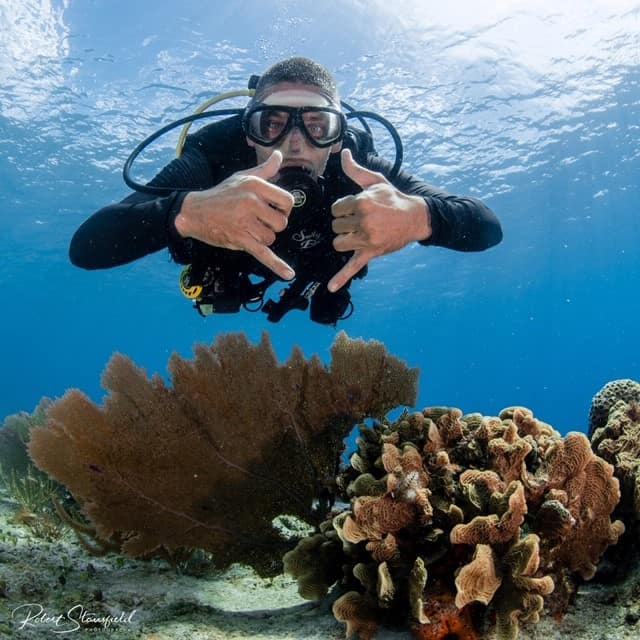 diving discover scuba cozumel salty endeavors