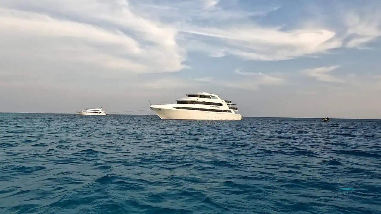 Diamond Explorer