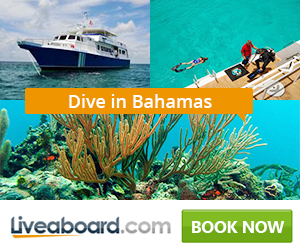 blackbeard's cruises bahamas reviews