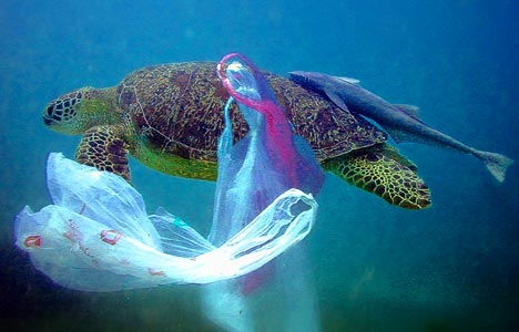 pollution of the ocean with garbage